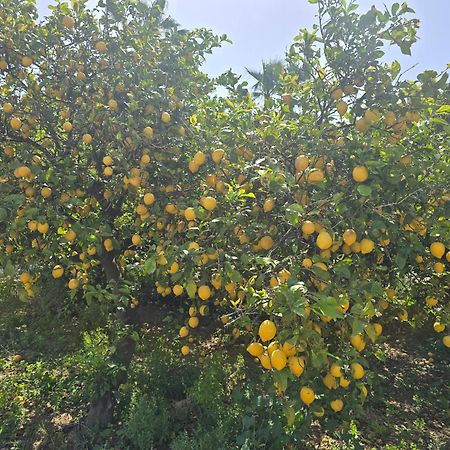 Tigaki Ilios K Village Resort المظهر الخارجي الصورة